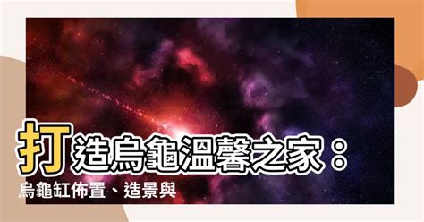 烏龜家|10分鐘打造烏龜家